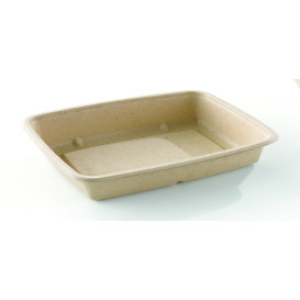 Envase Caña de Azúcar Rectangular 165x230x30mm (75 Uds)