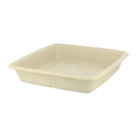 Envase Caña de Azúcar Cuadrado 230x230x30mm (75 Uds)