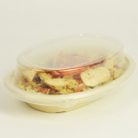 Tapa de Plastico para Envase de 190x150mm (50 Uds)