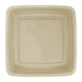 Envase Caña de Azúcar Cuadrado 230x230x30mm (75 Uds)