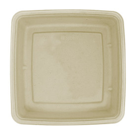 Envase Caña de Azúcar Cuadrado 230x230x40mm (75 Uds)