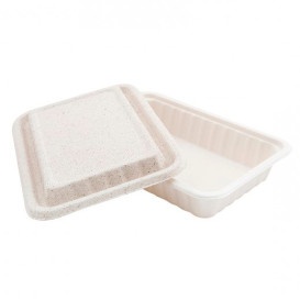 Envase Caña de Azucar con tapa 225x150x40mm (200 Uds)