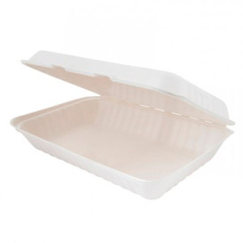 Envase Caña de Azucar con tapa bisagra 335x230x75mm (50 Uds)