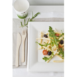 Plato Cuadrado Caña de Azucar Blanco 150x150mm (50 Uds)
