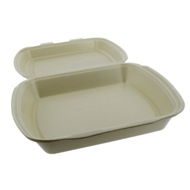 Envase Foam MenuBox 1C. Champagne 240x210x70mm (250 Uds)