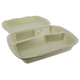 Envase Foam MenuBox 3 C. Champagne 240x210x70mm (250 Uds)