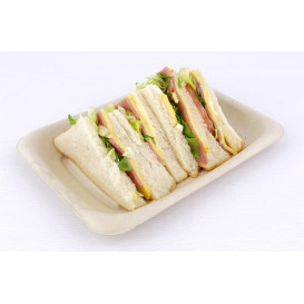 Envase Caña de Azúcar 20x14cm (50 Uds)