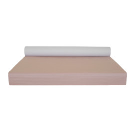 Mantel de Papel Rollo Salmón 1x100m 40g (1 Ud)