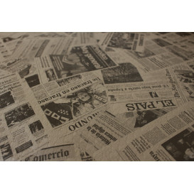 Mantel Papel Rollo Kraft "Prensa" 1,2x100m 37g (1 Ud)