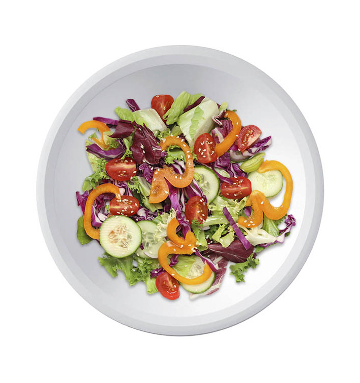 Plato de plástico reutilizable