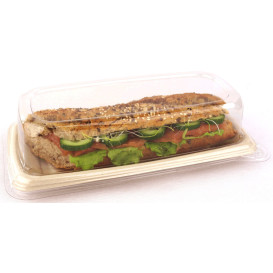 Tapa PET para Envase Caña de Azúcar 24x11cm (50 Uds)