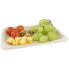 Envase Caña de Azúcar 20x14cm (300 Uds)