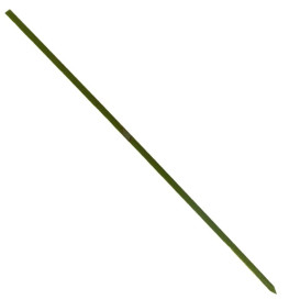 Pinchos de Bambu Verde Natural 200mm (200 Uds)