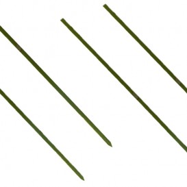 Pinchos de Bambu Verde Natural 200mm (200 Uds)