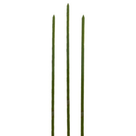 Pinchos de Bambu Verde Natural 250mm (5000 Uds)