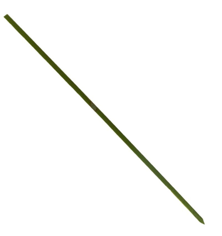 Pinchos de Bambu Verde Natural 250mm (5000 Uds)