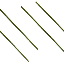Pinchos de Bambu Verde Natural 250mm (5000 Uds)