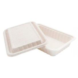 Envase Caña de Azucar 800ml 225x150x40mm (500 Uds)