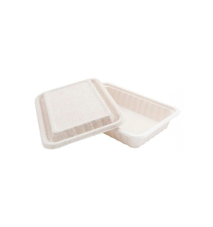 Envase Caña de Azucar 800ml 225x150x40mm (500 Uds)
