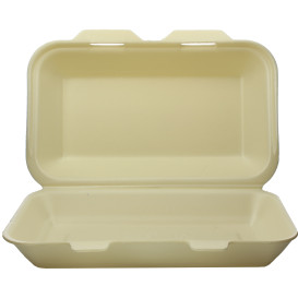 Envase Foam LunchBox Champagne 240x155x70mm (125 Uds)