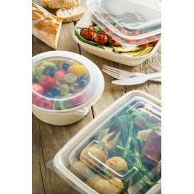 Tapa de Plastico para Envase de 240x170mm (50 Uds)