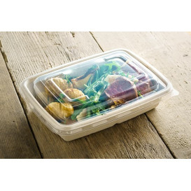 Tapa de Plastico para Envase de 240x170mm (50 Uds)