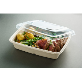 Tapa de Plastico para Envase de 240x170mm (50 Uds)