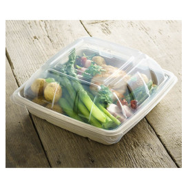 Tapa de Plastico Cúpula para Envase de 230x230mm (75 Uds)