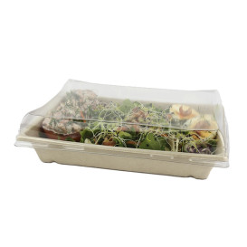 Kit Bandejas Caña de Azúcar+tapa 220x160x60mm (1 Kit)
