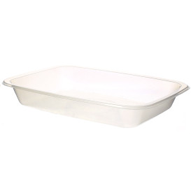 Bandeja Termosellable PP Gastronorm 154x110x25mm (50 Uds)
