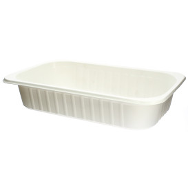 Bandeja Termosellable PP Gastronorm 240x136x50mm (25 Uds)