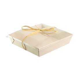 Tapa de Plástico PET Transparente de 17x17cm (100 Uds)