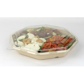 Tapa Plastico PET para Envase Hexagonal 230x230mm (50 Uds)
