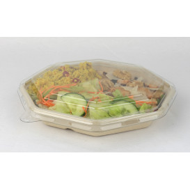 Tapa Plastico PET para Envase Hexagonal 230x230mm (50 Uds)