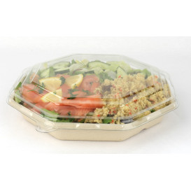 Tapa Plastico PET para Envase Hexagonal 230x230mm (50 Uds)