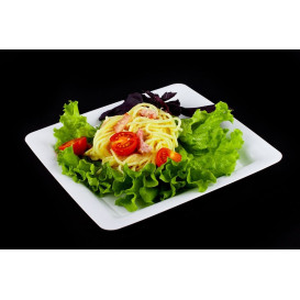 Plato Plastico Cuadrado Extra Rigido Blanco 22,5x22,5cm (20 Uds)