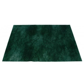 Mantel Individual Novotex Verde 35x50cm 50g (500 Uds)