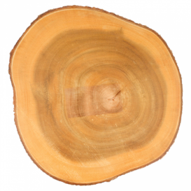 Tabla Presentación Redonda de Madera Ø230x35mm (1 Ud)