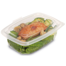 Tarrina Bisagra PP Transparente 600ml 185x135mm (300 Uds)