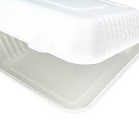 Envase Bisagra Caña de Azúcar + PLA Blanco 23x23x7,5cm (200 Uds)
