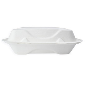 Envase Bisagra Caña de Azúcar 3C 23x23x7,5cm (50 Uds)