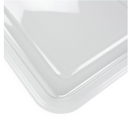 Bandeja Plastico RPET Transparente 46x30cm (10 Uds)