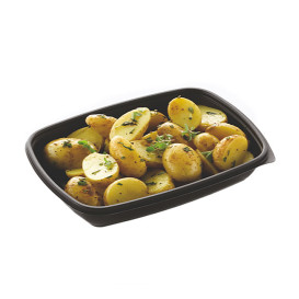 Envase Plastico PP Negro 600ml 23x16,5cm (75 Uds)