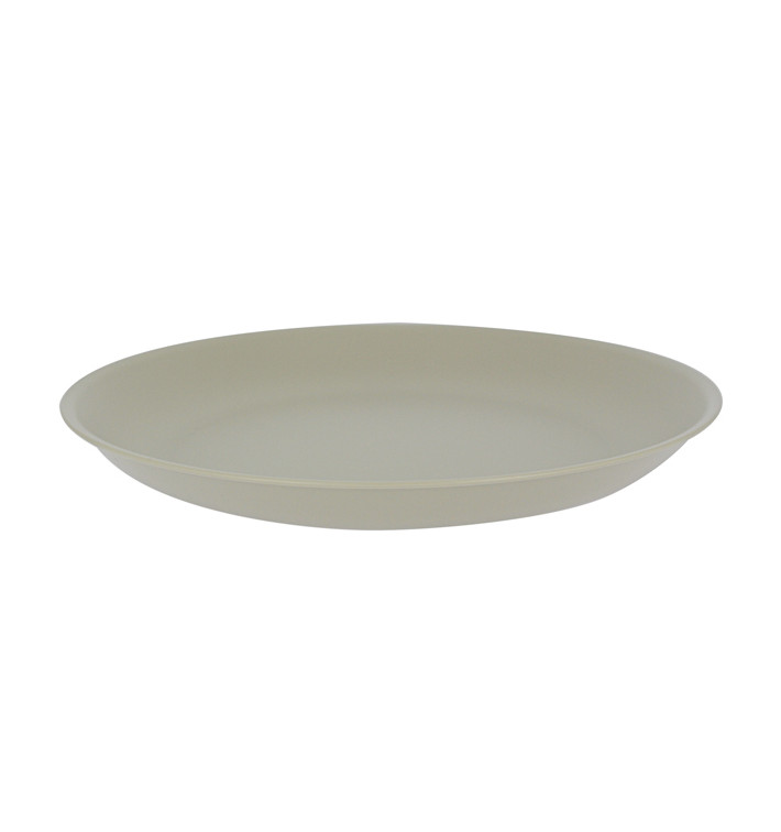 Plato de plástico reutilizable
