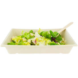 Bandeja Caña de Azucar 750ml 220x160x40mm (50 Uds)