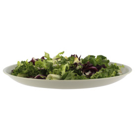 Plato Reutilizable Premium PP Mineral Gris Ø27,5cm (54 Uds)