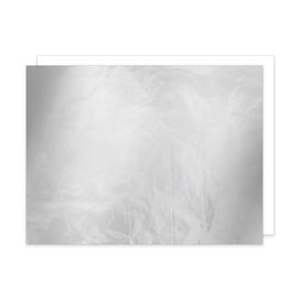 Envuelta de Aluminio Doble Capa Papel Plata 30,5x30,5cm (500 Uds)