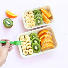 Tapa Compostable PLA Transparente Envase 710 y 940ml (50 Uds)