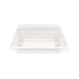 Envase para Tacos de Caña de Azúcar Blanco 18,5x18,5cm (300 Uds)