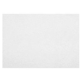 Mantel Individual Novotex Blanco 30x40cm 55g (500 Uds)